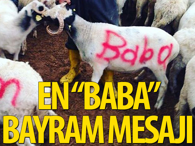 Demba Ba'dan "koyunlu" bayram mesajı