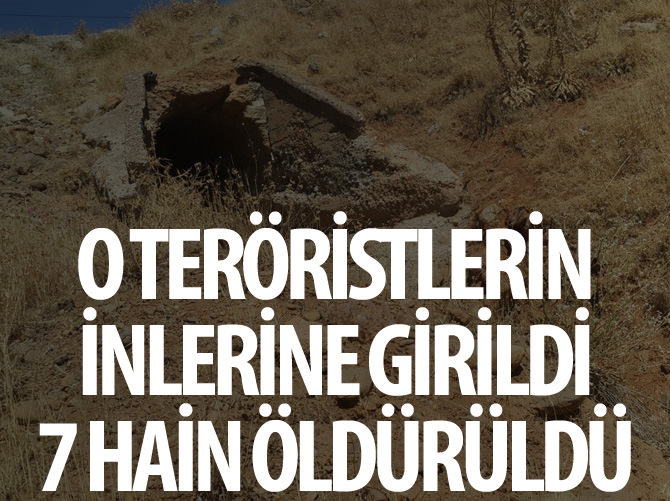 O teröristlerin inlerine girildi: 7 hain öldürüldü