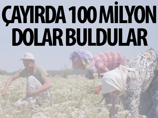 "Doğanın armağanı" 100 milyon dolarlık ihracat