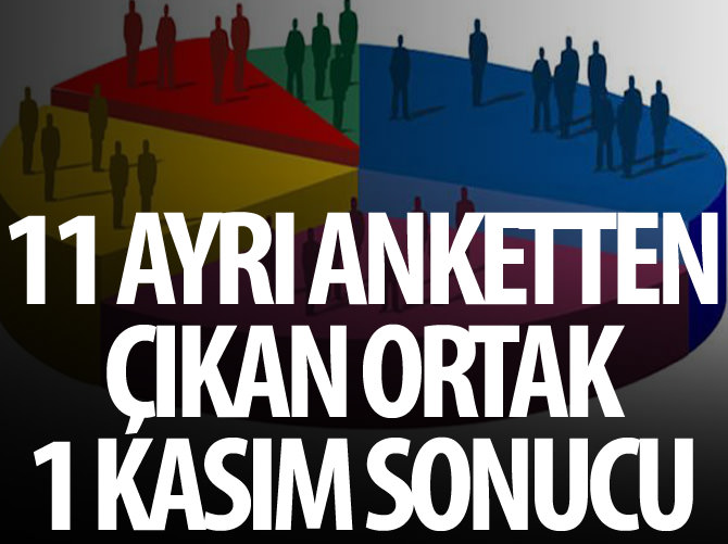 11 ayrı anketten çıkan ortak 1 Kasım sonucu