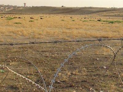 Kobani'de mayın tuzağı: 8 çocuk yaralı