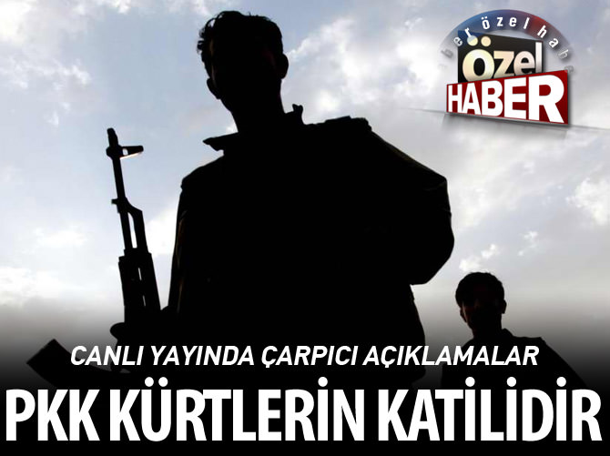 "PKK; Kürtlerin katilidir"