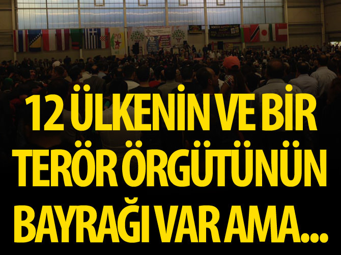Selahattin Demirtaş’ın Hamburg mitingini yaptığı salonda 12 ülke bayrağı vardı ama Türk bayrağı yoktu