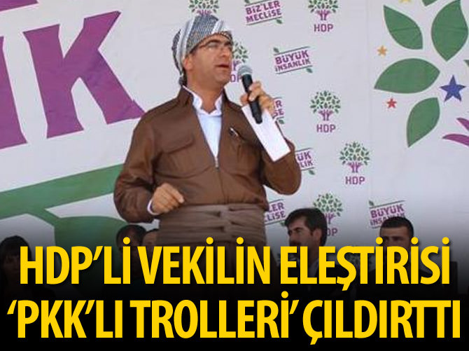 HDP'li vekilin eleştirisi 'PKK'lı trolleri' çıldırttı