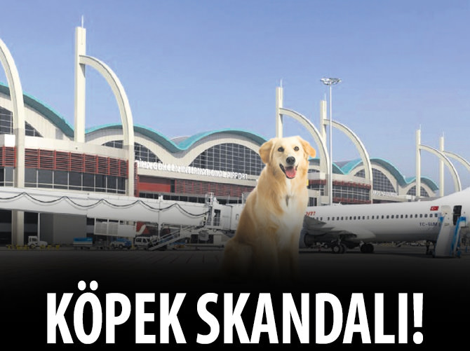 Sabiha Gökçen'de köpek skandalı!