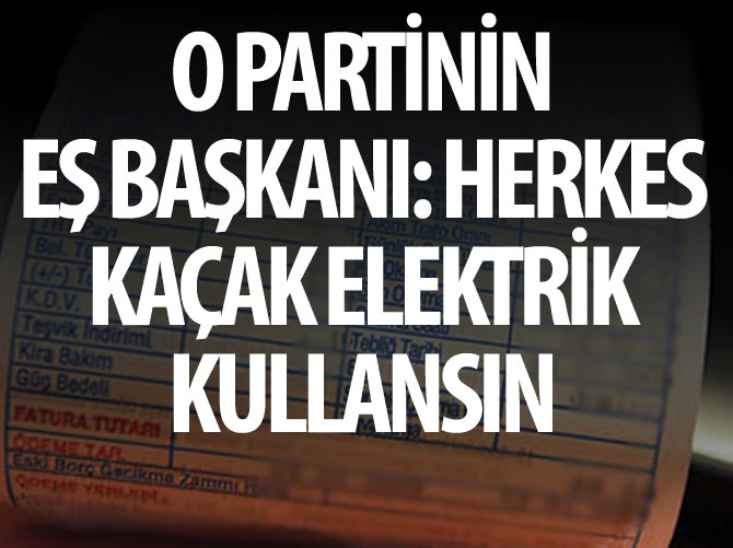 DBP Eş Genel Başkanı Kamuran Yüksek: Herkes kaçak elektrik kullansın