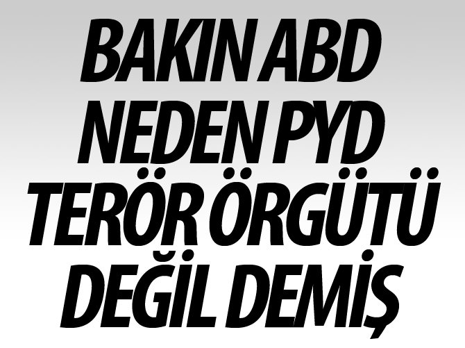 ‘PYD’nin PKK olmadığı söylemi bir safsata’
