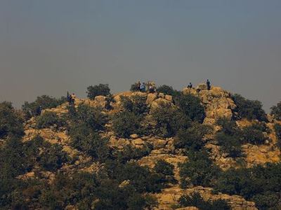Bagok Dağı'ndaki canlı kalkanlar yakalandı