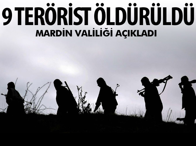 Mardin Valiliği: '9 PKK’lı etkisiz hale getirildi'