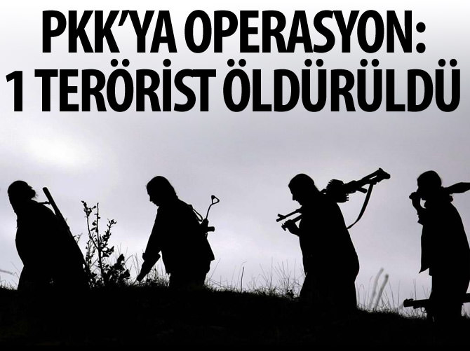 Hakkari'de terör operasyonu