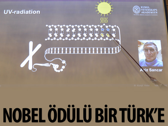 Nobel ödülü bir Türk'e