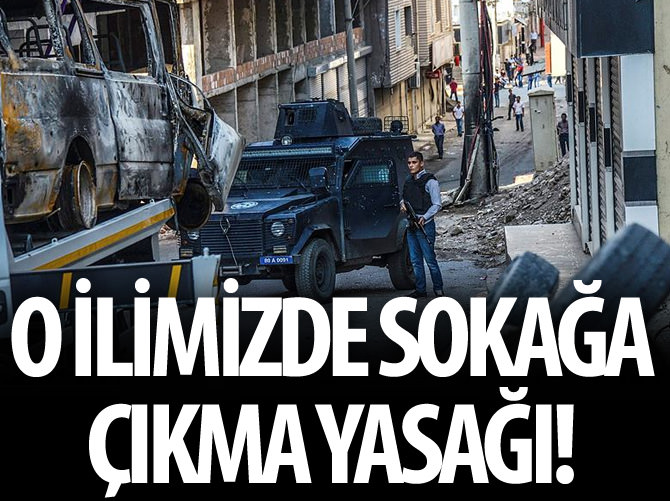 Sur ve Yenişehir'de terör örgütüne operasyon