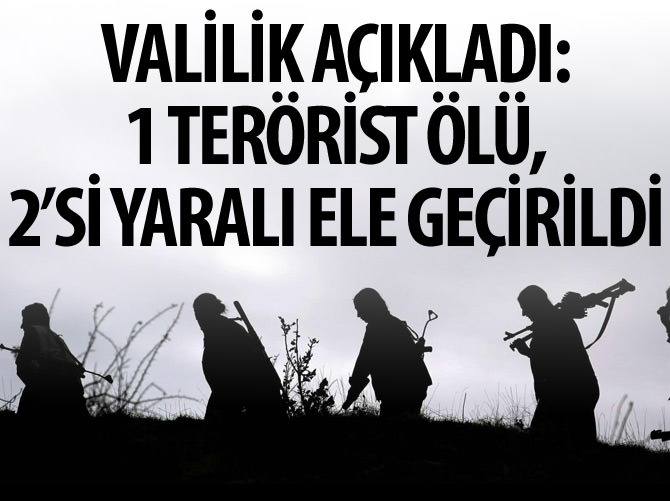 Diyarbakır'daki terör örgütüne yönelik operasyon