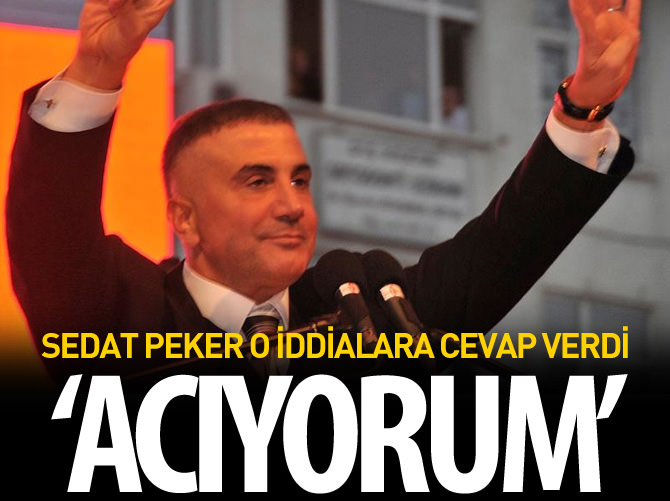 Sedat Peker'den Ankara açıklaması