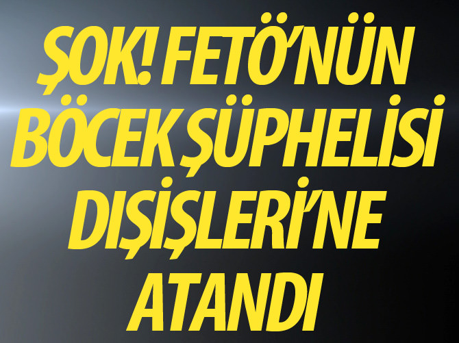 FETÖ'nün böcek şüphelisi Dışişleri'ne atandı!