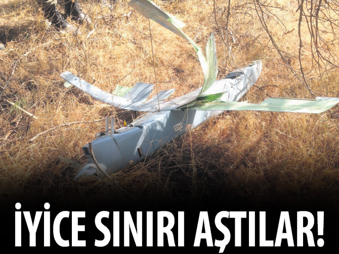 Sınırı aştılar