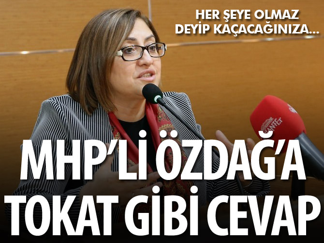 Şahin'den Özdağ'a dış politika dersi