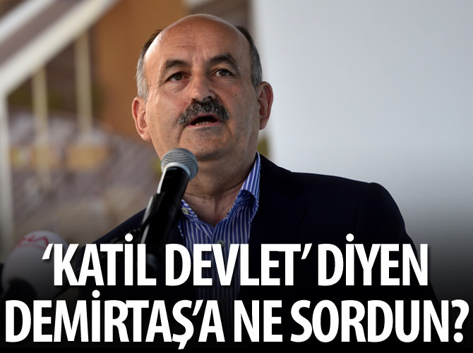 'Katil devlet' diyen Demirtaş'a ne sordun
