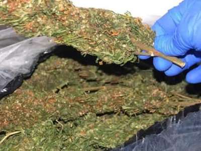 Avukatın kullandığı araçta 150 kilogram esrar ele geçirildi