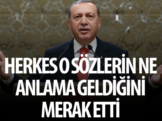Erdoğan: Bu girişimdekilere mankurt diyorum