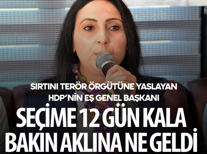 Seçimlere 12 gün kala Figen Yüksekdağ'ın aklına bakın ne geldi?