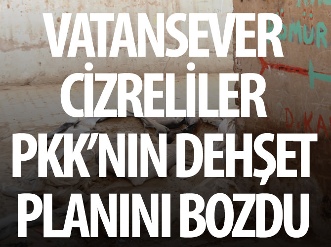 Vatansever Cizreliler PKK'nın dehşet planını bozdu