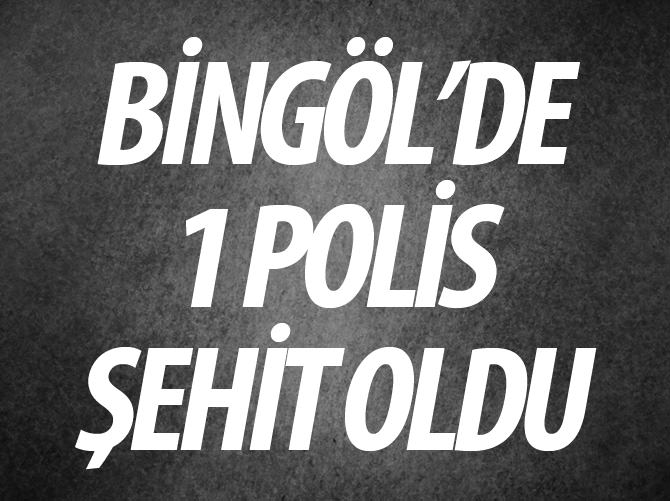 Bingöl'de polis aracı devrildi: 1 şehit