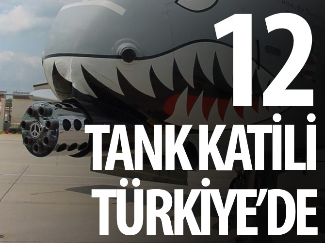 ABD'nin "tank katili" uçakları İncirlik Üssü'nde