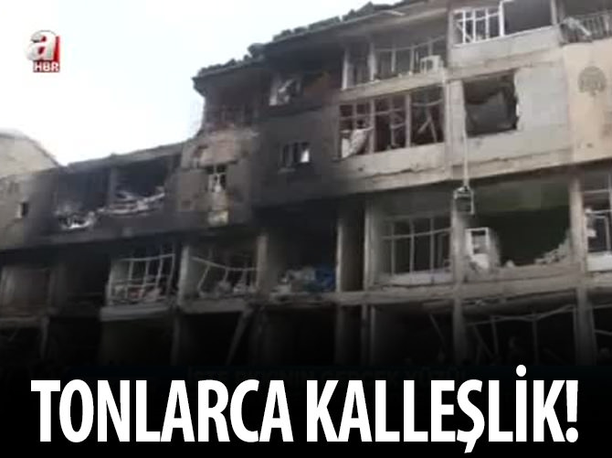 Tonlarca kalleşlik