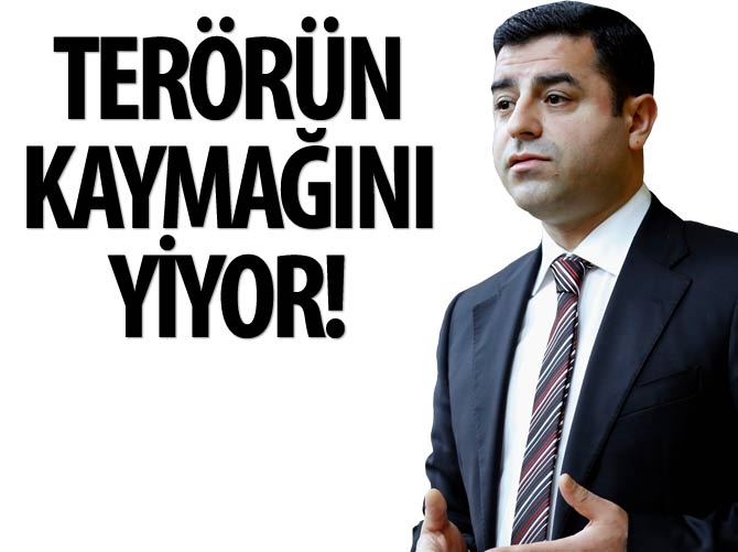 Demirtaş, terörün kaymağını yiyor!