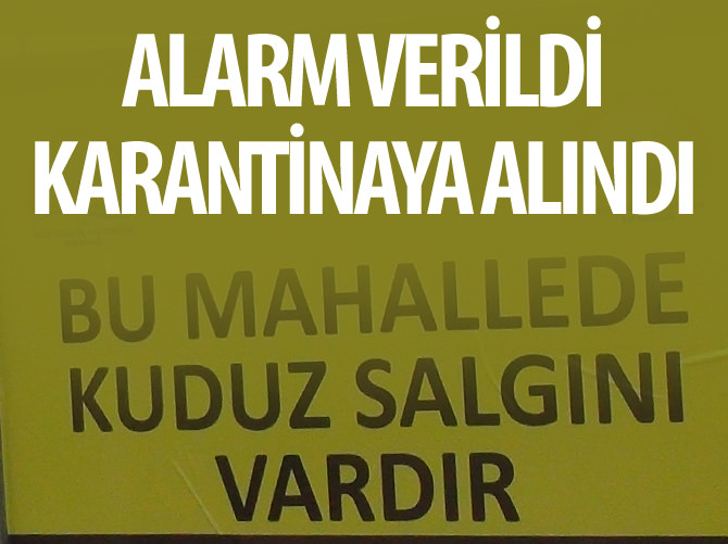 Kızıltepe'de kuduz karantinası