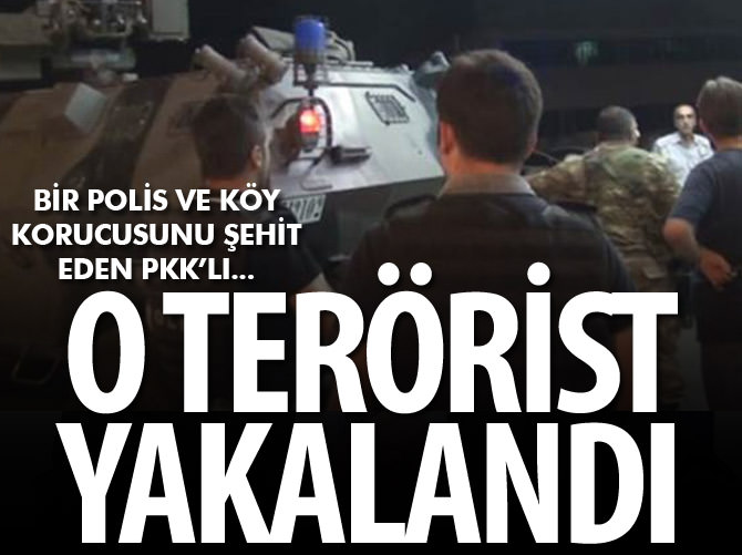 Bir polis ve köy korucusunu şehit eden PKK'lı yakalandı