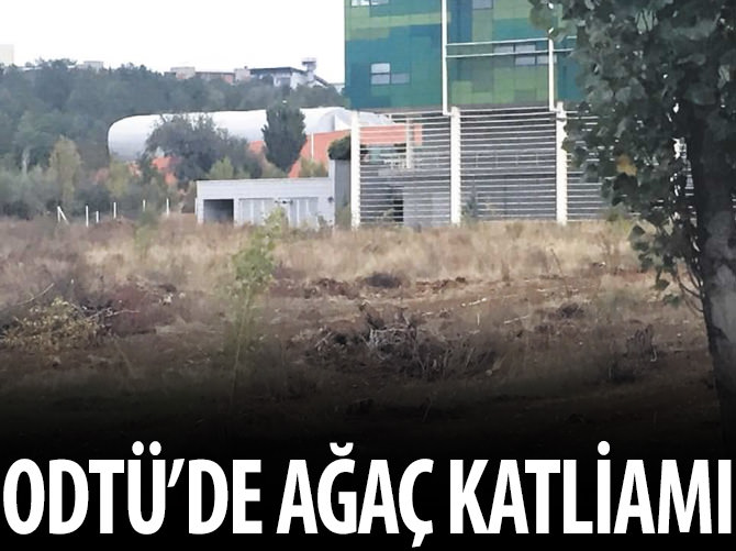 ODTÜ baltaladı