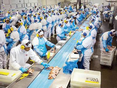 Brezilya tavukları market raflarında!