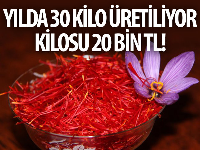 Kilosu 20 bin TL!