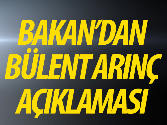 Yalçın Akdoğan: Sayın Arınç ile polemiğe girmek istemem