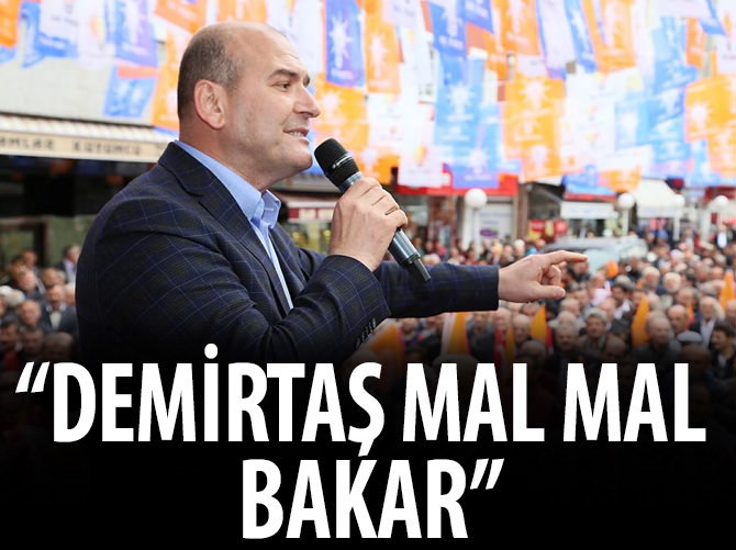 Soylu: Demirtaş sen de mal mal bakıyorsun