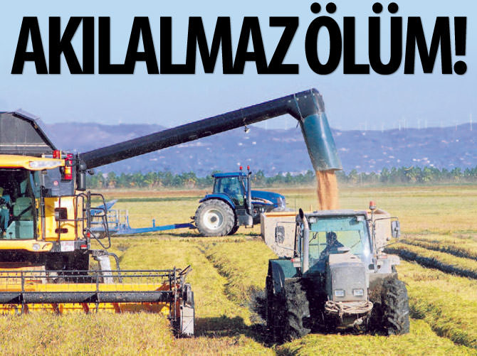 Tonlarca çeltiğin altında akılalmaz ölüm!