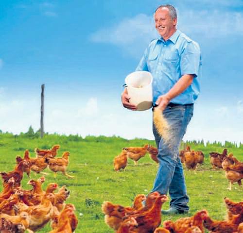 CHP’li İnce için ’ince’ espriler