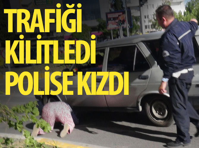 Hayvansever kadın trafiği durdurdu!