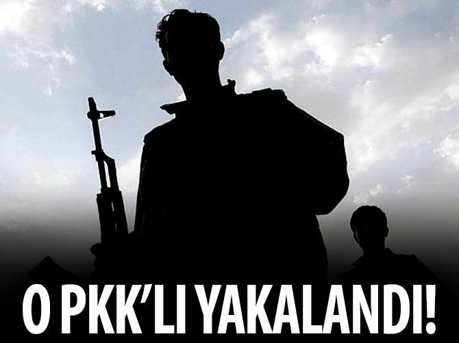 PKK'nın kritik ismi yakalandı