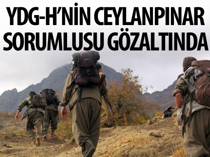 YDG-H'nin Ceylanpınar sorumlusu gözaltına alındı