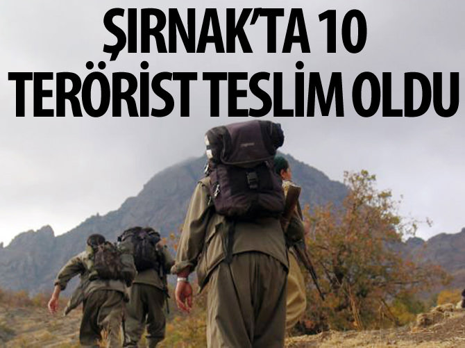 Şırnak'ta 10 terörist teslim oldu