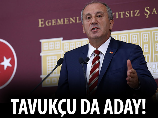 Tavukçu geliyor