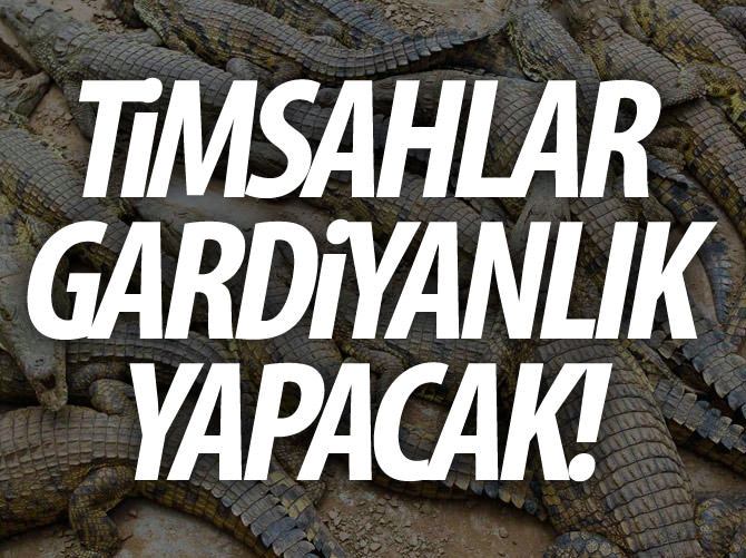 Bu hapishanede timsahlar gardiyanlık yapacak!