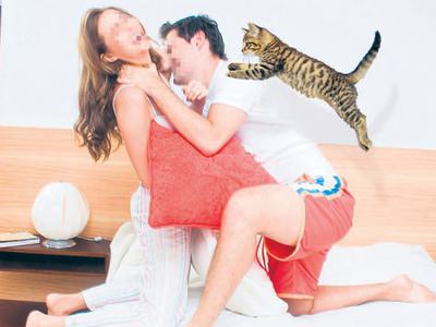 Tecavüzü kedi önledi!