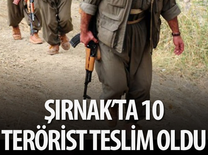 Şırnak'ta 10 terörist teslim oldu