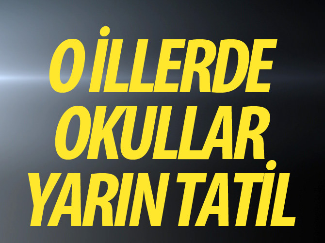 Rize'de ve Ardahan'da eğitime ara verildi