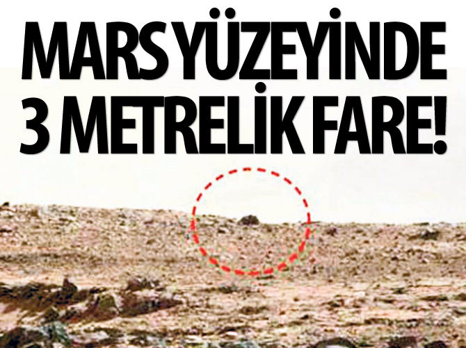 Mars yüzeyinde 3 metrelik fare!