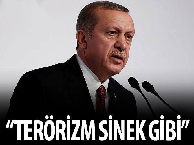 "Terörizm bataklıkta üreyen sinekler gibidir"